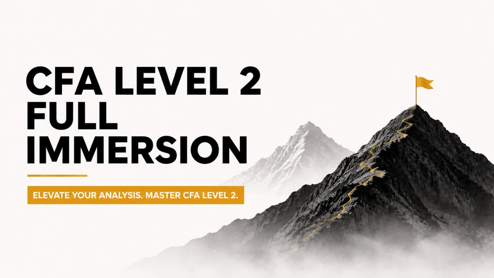 CFA Level 2 - Full Immersion